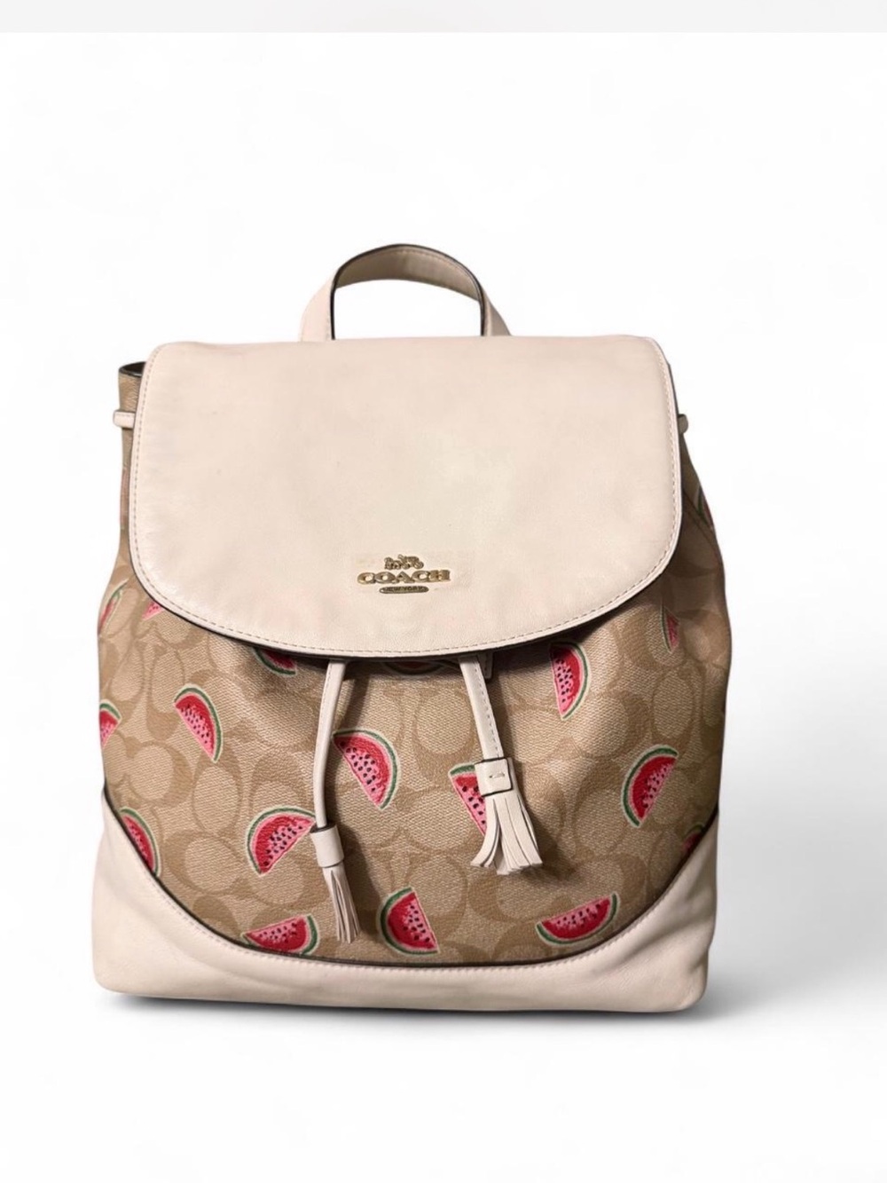 Coach Elle Drawstring Backpack  With Watermelon Print (Style 1602)